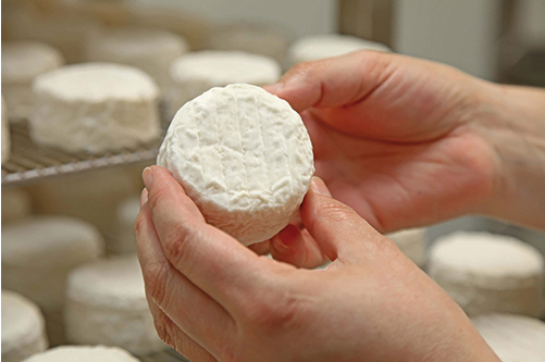 Agrilocal81_Producteurs-Fournisseurs_02-Fromage.jpg